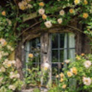 Meet your Posher, Brianne